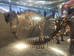 -国家自然博物馆