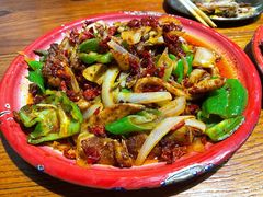 -柴窝堡22号辣子鸡·传承新疆菜