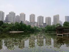 -龙头寺公园