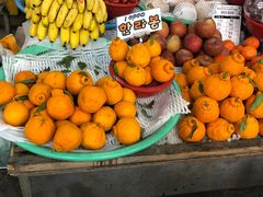 -西归浦每天偶来市场