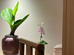 -金河半岛园林酒家(金融城店)