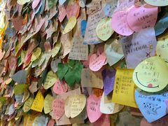 -宝旺姜母鸭(顶澳仔猫街店)