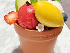 -哈根达斯(济南万象城店)