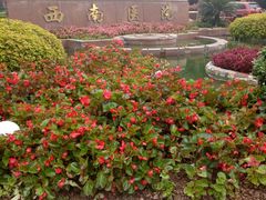 -重庆西南医院(西南院区)