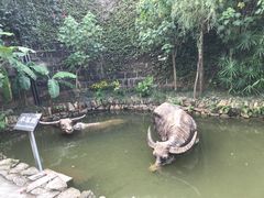 -燊海井