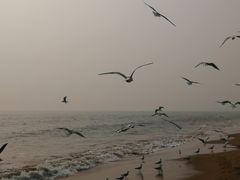 -金梦海湾浴场