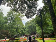 -青城山