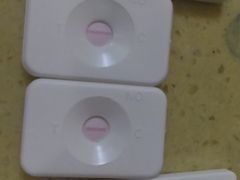 -瑞鹏宠物医院·骨科·猫科·内科(第一中心)