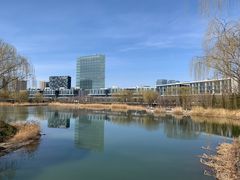 -大兴滨河森林公园