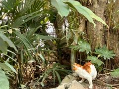 -苏州河梦清园环保主题公园