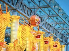 -武汉园博园(武汉自然博物馆)