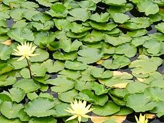 -大连植物园