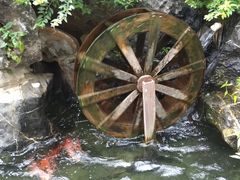 -杨箕村B区