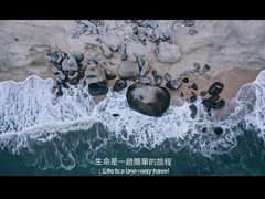 -汕尾风车岛