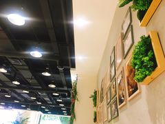 -藏猫猫咖啡主题馆(中央大道店)