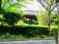 -大理地热国