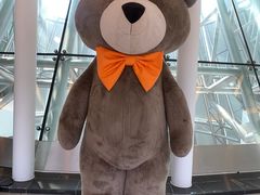 -济州岛泰迪熊博物馆