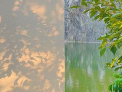 -鼎湖山风景区