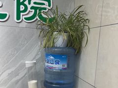 -半岛宠物医院24小时(白果林店)