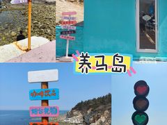 -养马岛旅游度假区