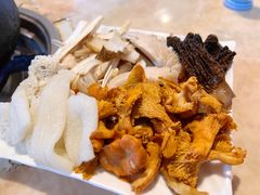 -蘑统田下·野生菌火锅