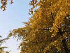 -辽宁大学(崇山校区)