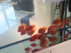 -北京松山友福汽车贴膜·隐形车衣 洗美(良乡店)