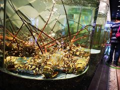 -新海利海鲜城·41年珠海老字号(夏湾店)
