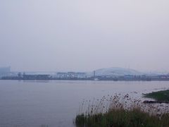 -吴淞炮台湾湿地森林公园烧烤区