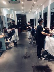 -东方麒麟·潘多拉SALON