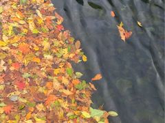 -丹东天桥沟景区