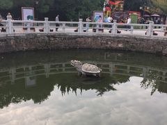 -白马涧龙池景区