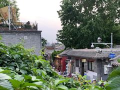 -Sirena海妖日咖夜酒