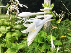 -中家鑫园温泉酒店鑫悦汤泉