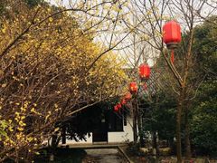 -安飞驰驾校·学车连锁(金高店)