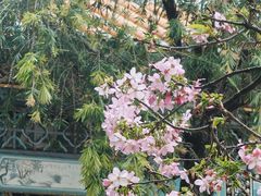 -宝墨园景区