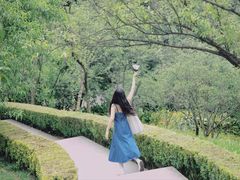 -南山植物园