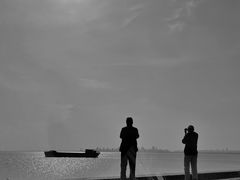 -合肥滨湖国家森林公园