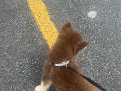 -宠颐生汉谟拉比宠物医院