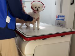 -美联众合动物医院·24h转诊中心