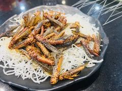 -晓波烧烤(南桥店)