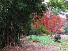 -东湖磨山景区
