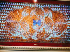 -上海昆虫博物馆