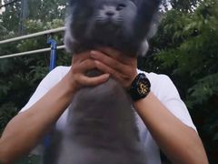 -钟山体育运动公园