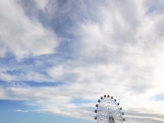 -白洋淀景区