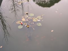 -辽东学院(南校区)