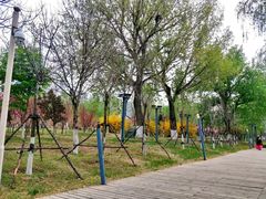 -长白岛森林公园