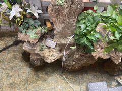 -光海·乡记酸菜鱼·始于1996(花园路店)