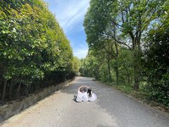 -雨花胜境