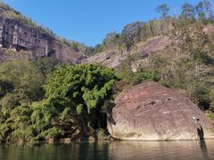 -九曲溪竹筏码头